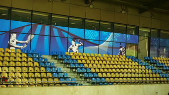 新加坡队未来计划：建立更完善的青少年乒乓培养体系，新加坡乒乓球运动