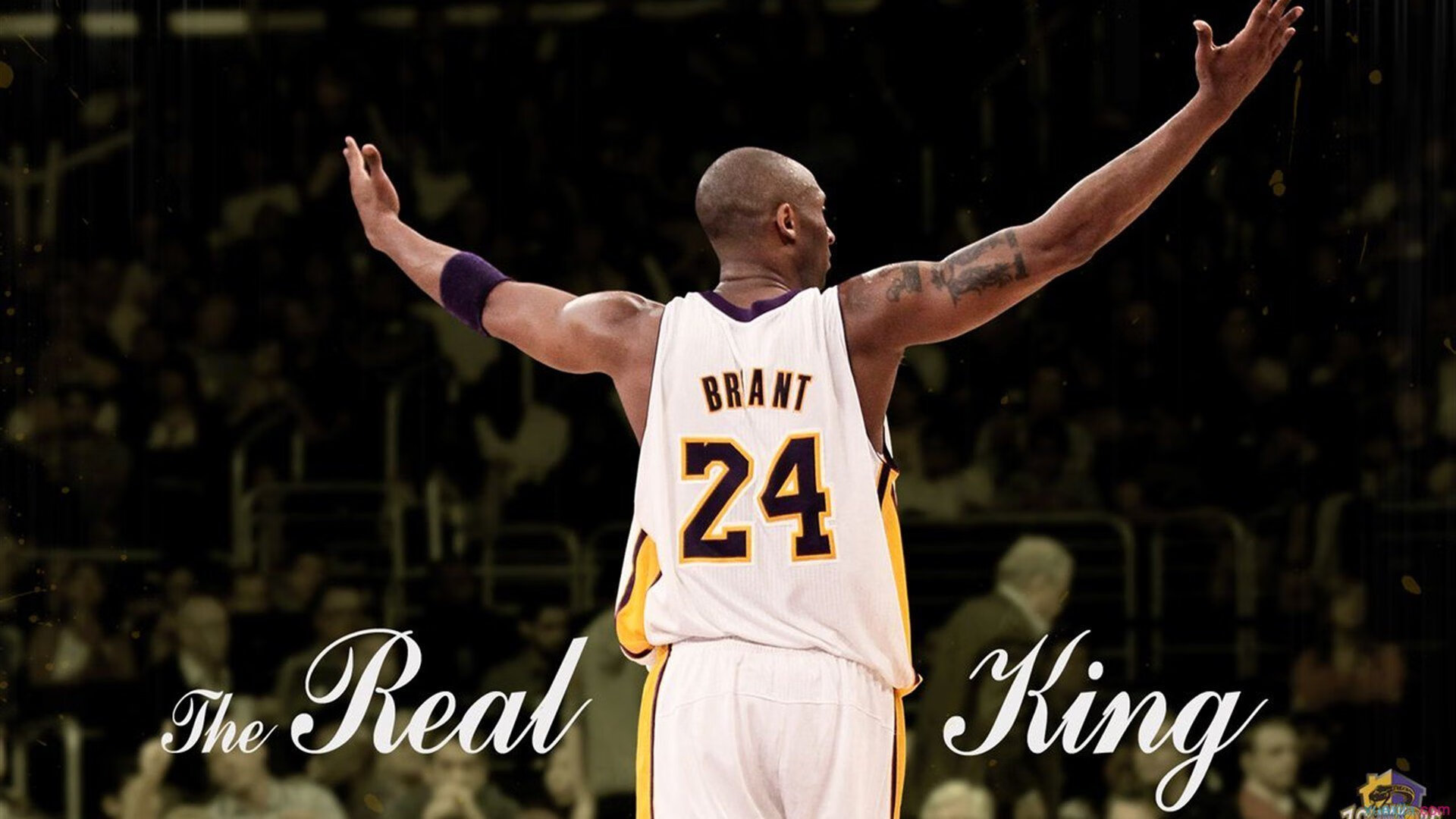 决赛看点:贾瓦迪全程节奏稳定,贾拉瓦人